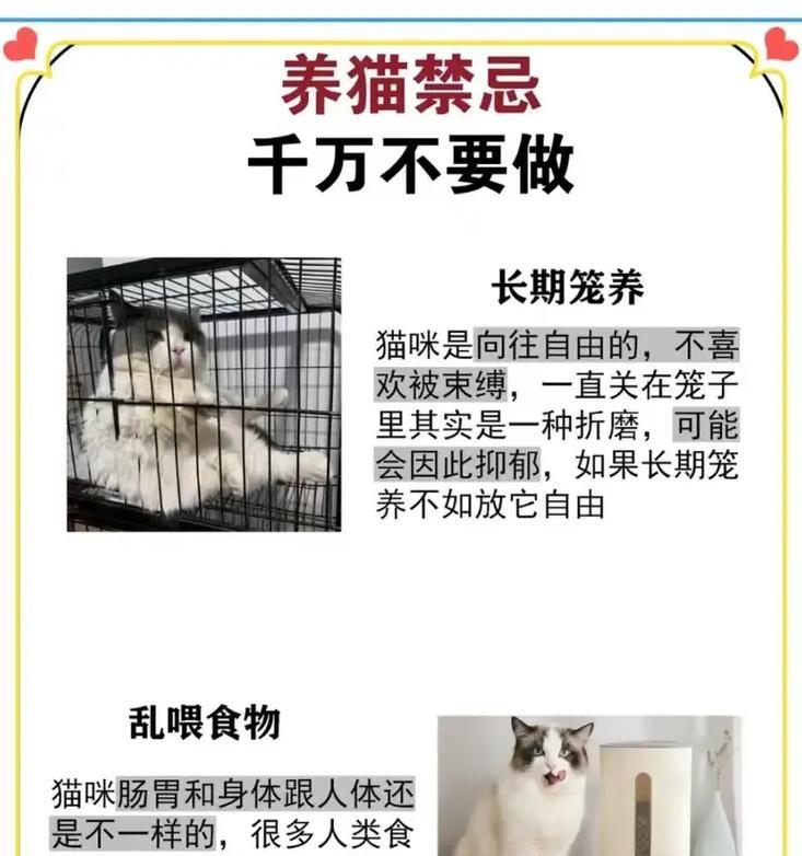 喵星人乐园（从英短到波斯，探寻世界各地喵星人的独特魅力）