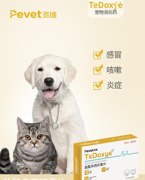 狗狗咳嗽治疗（了解如何缓解狗狗咳嗽的药物以及用药注意事项）