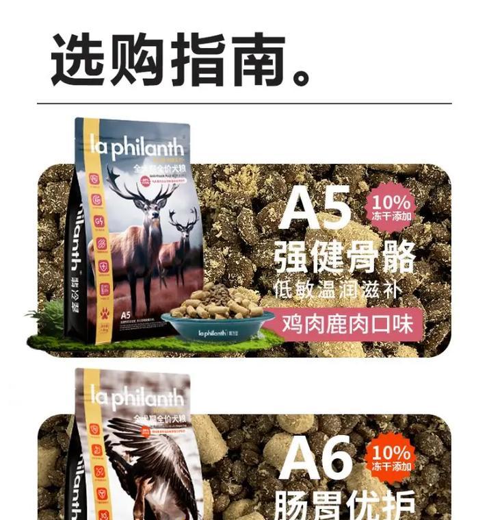 如何选择适合狗狗的狗粮？（全面解析狗粮品牌，让你的爱宠健康成长）