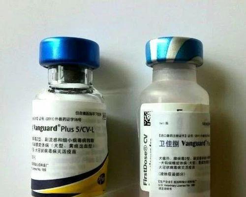 探寻以药狗的针的奥秘（药狗的针）