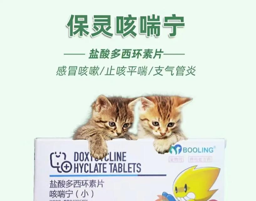 探讨法斗感冒流鼻涕的症状及应对方法（法斗流鼻涕的原因、症状和治疗方法一览）