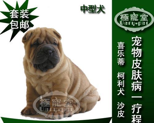 喜乐蒂皮肤病（深入了解喜乐蒂皮肤病，有效治疗你的皮肤问题）