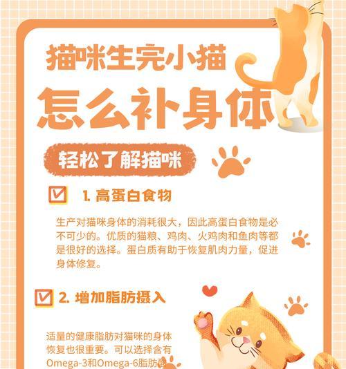 猫可以吃什么东西？（为你的猫提供安全健康的食物）
