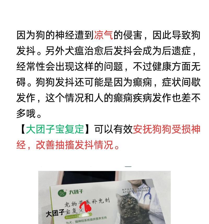 泰迪为什么喜欢抖动身体？（探究泰迪抖身体的原因及其意义）