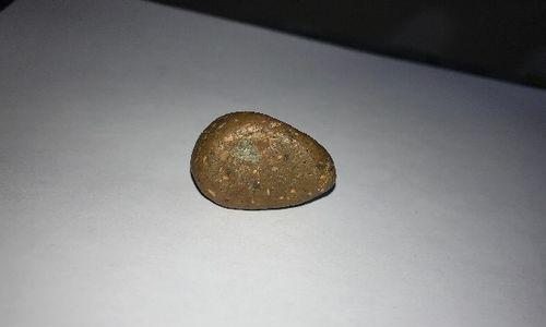 探索狗屎虫的形态与行为奥秘（探秘狗屎虫的外形特征、生态习性和适应能力）