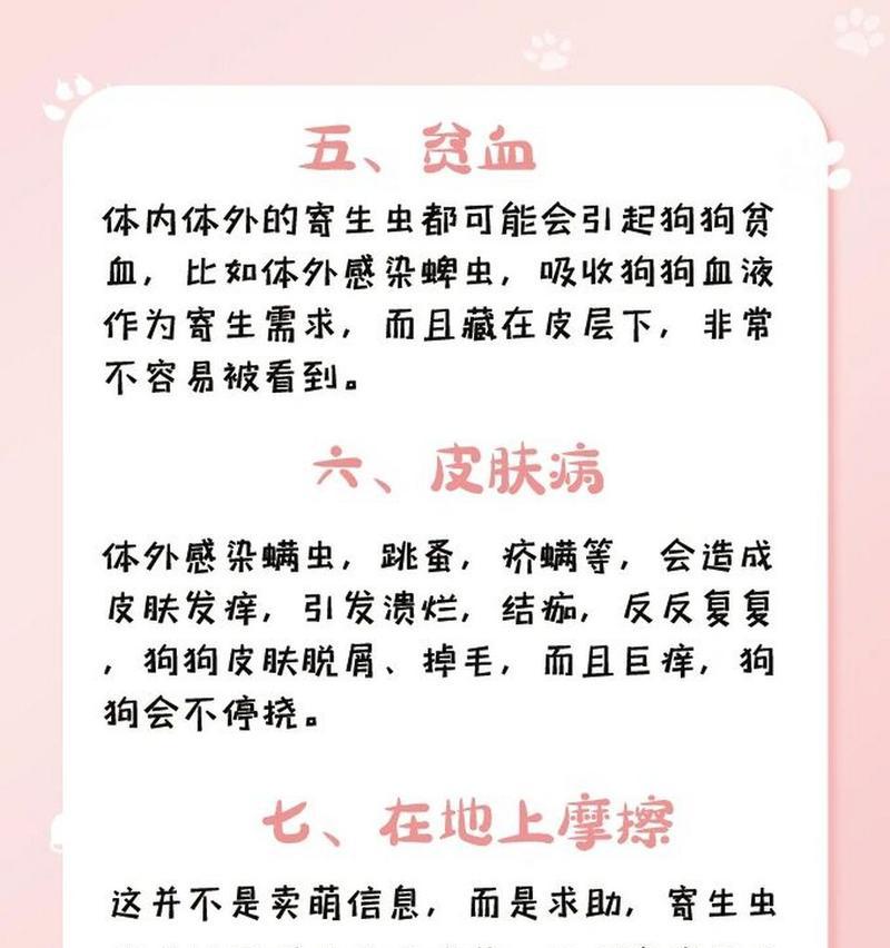 狗狗为什么容易感染钩虫？（揭秘钩虫感染狗狗的原因与预防措施）