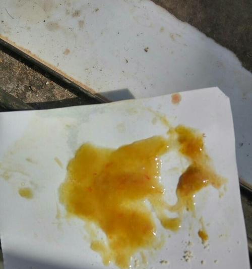泰迪果冻引发食品安全事件（探究泰迪果冻事件背后的问题及风险）