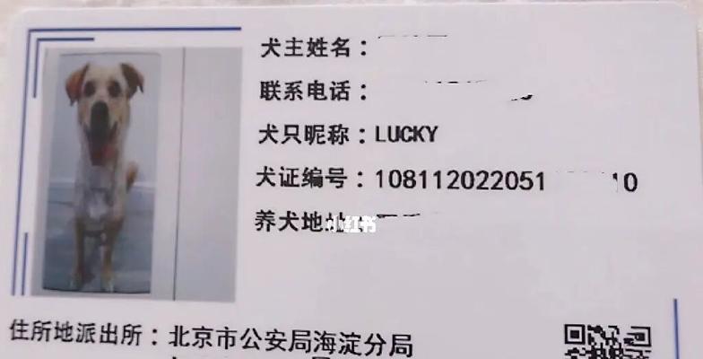 北京办狗证流程及所需材料详解（了解北京办理狗证的步骤和必备文件，让你的宠物合法入户）