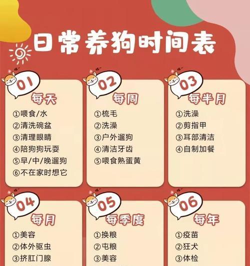 刚出生的狗狗何时需要进行驱虫？（驱虫时间表及注意事项）