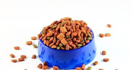 猫溃疡如何通过饮食调理恢复健康（为你的猫提供适当的食物以加速愈合）