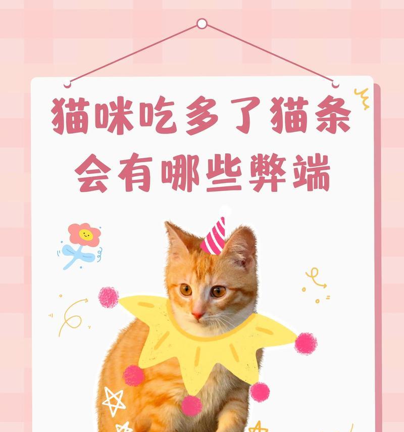 养猫必备品推荐（为你的毛孩提供舒适的生活环境）