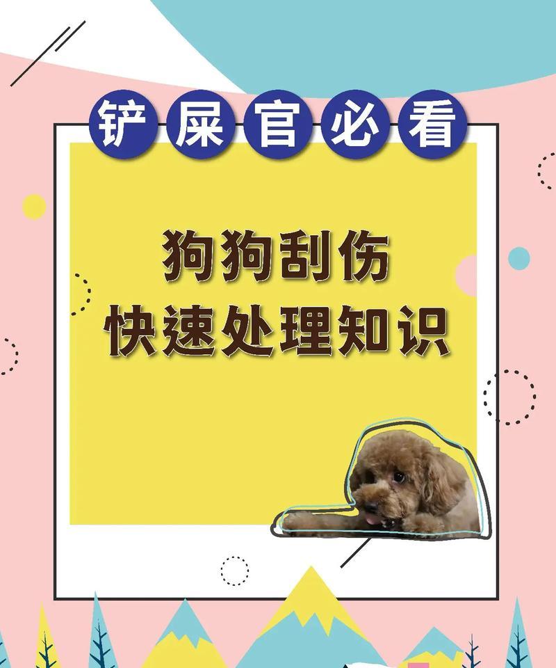 狗狗受伤流血，该使用哪种药物治疗？（了解狗狗受伤流血后的应急药物和治疗方法）