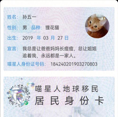 猫有证书的好处（了解猫有证书的重要性及其对猫主人的益处）