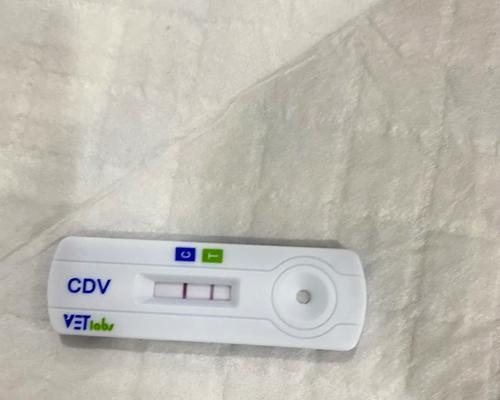 犬瘟治疗的有效药物及止痛方法（探究犬瘟病治疗中的药物选择和止痛方法，为爱犬带来舒适与康复）