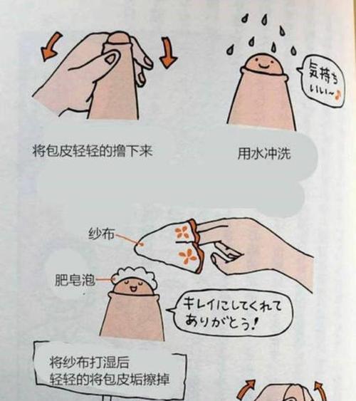 狗为什么总是露龟头？（探索狗露龟头行为的原因与意义）