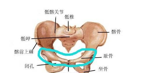 趾骨炎（了解趾骨炎的症状、诊断与治疗）