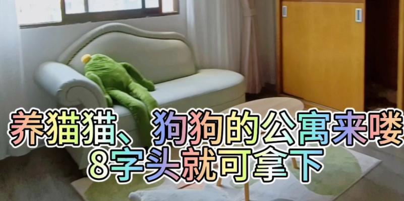 选择适合公寓生活的狗狗（公寓中适宜饲养的狗狗品种及特点）