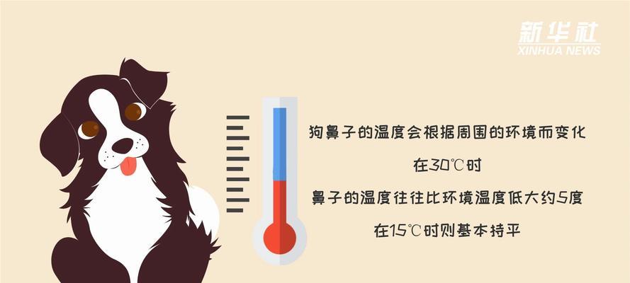为什么会出现鼻子发热的情况？（探究鼻子发热的原因及可能的健康问题）
