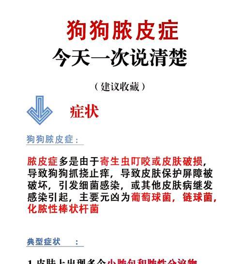 治疗狗狗脓皮炎的有效药物（选择合适的药物是关键，你需要了解哪些？）