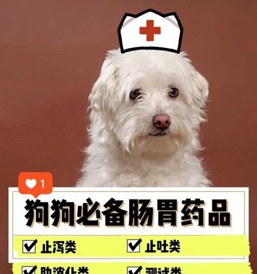 狗拉吐怎么办？如何选择合适的药物治疗？（了解狗拉吐的症状及常见药物治疗方法）