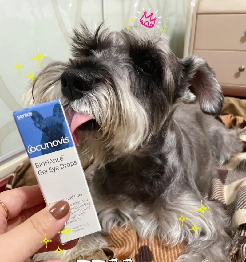 狗狗眼药水（选择适合你狗狗的眼药水，守护它的明亮眼睛）