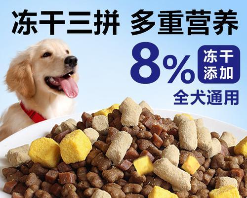 柯基狗粮品牌推荐，给您的柯基健康饮食（柯基狗粮选择策略及品牌推荐）
