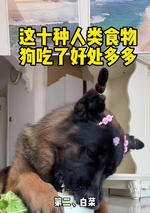 以狗吃狗（生存、竞争和适者生存）