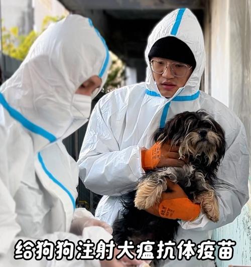 小狗疫苗接种时间的重要性（保护小狗免受疾病侵害，合理安排疫苗接种时间）