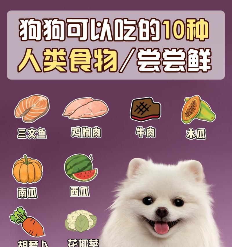 小狗如何快速成长？营养饮食是关键！（探究小狗成长所需的营养和饮食方案，帮助你的小狗健康成长。）