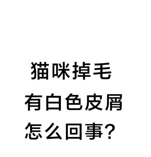 探究猫癣的病因及预防方法（揭秘猫癣的源头与治疗）