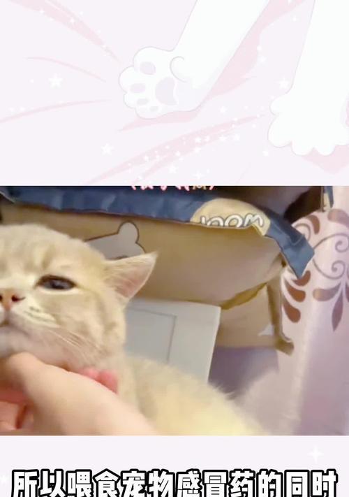 猫喉咙有痰怎么办？化痰方法大揭秘（猫喉咙堵塞，轻松解决！）