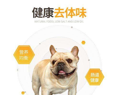 以法牛没有狗粮的时候吃什么（寻找适合以法牛的替代食物）