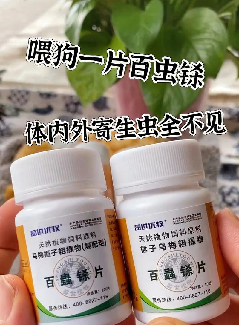 狗狗驱虫后的饮食安排（提供适合驱虫后狗狗食用的营养丰富的食物）