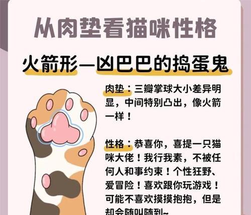 猫咪钟爱的人格特质（解析猫咪钟情的性格因素，以及如何与猫咪建立深厚的关系）