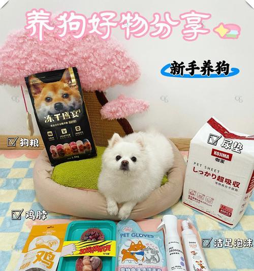 选择养小型宠物的最佳选择（探讨养小型宠物的优势和选择方法）
