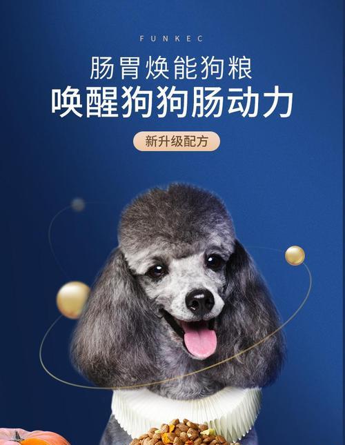 如何选择适合博美有泪痕的狗粮（全面了解博美有泪痕的特点，为其选择合适的狗粮）