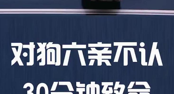 狗狗中毒的后遗症（了解狗狗中毒的症状和预防措施，保护我们的忠诚伙伴）