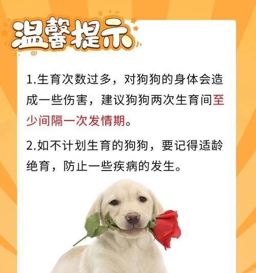 狗配种15天后的主要症状（了解狗配种后15天的体征及健康状况）