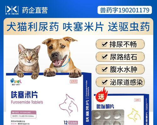 狗狗尿道口感染的症状及治疗药物（了解尿道口感染的常见症状和正确的药物治疗方法）