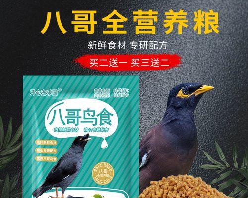 八哥幼鸟的理想饲料选择（为你的八哥幼鸟提供健康成长所需的最佳饲料）