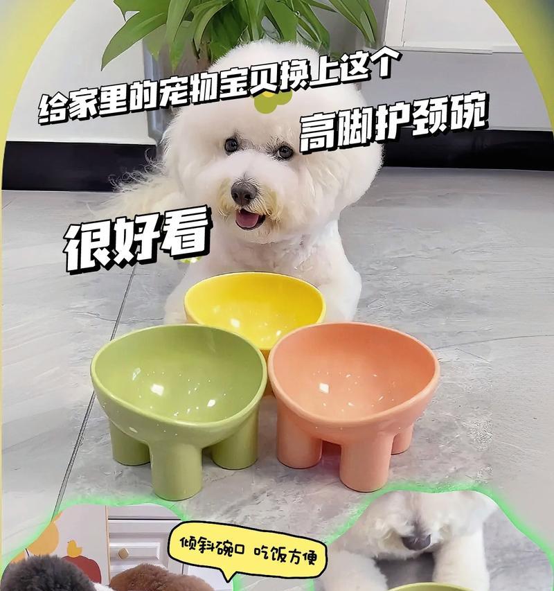 以猫碗为主题的色彩世界（探索猫碗的多彩生活）