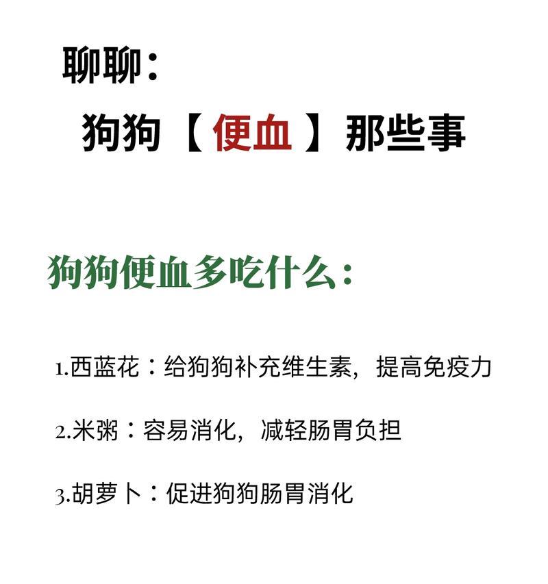 狗狗血便的药物治疗方法（了解狗狗血便的原因和如何正确应对）