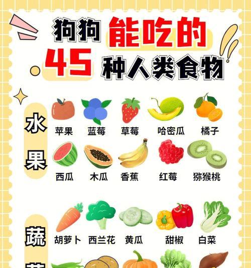 1个月大的小狗的饮食需求（为你的小狗提供健康的饮食）