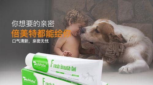 探究狗口腔溃疡的原因与预防方法（为你的爱犬打造健康口腔）