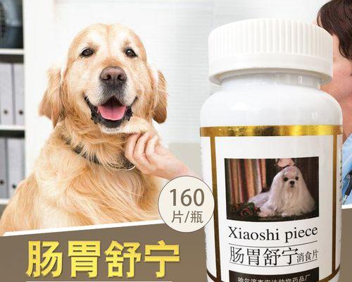 狗发热该吃什么药？（找准关键药物，保护爱犬健康）