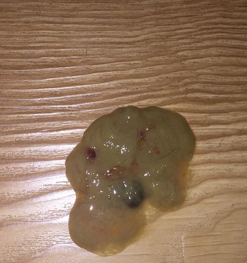 小狗出生后的饮食和呕吐问题（从幼犬时期到成犬阶段，了解小狗的饮食习惯和呕吐原因）