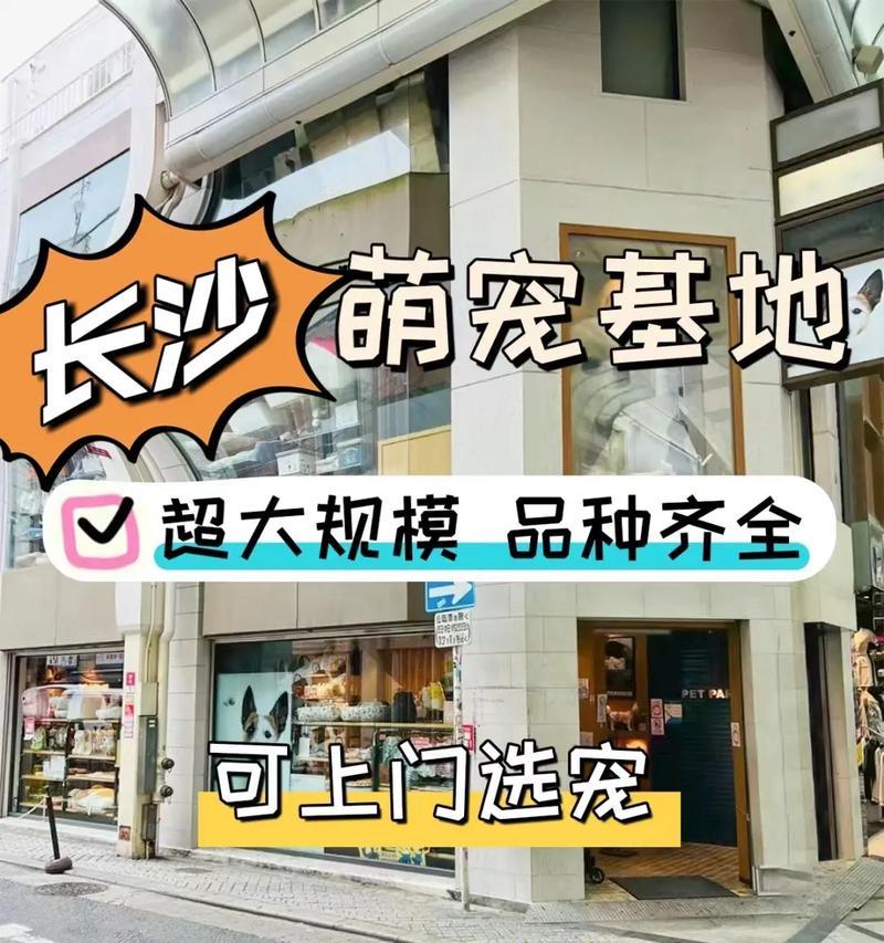 长沙犬舍（长沙犬舍——让宠物生活更美好）