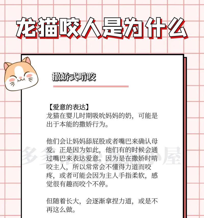 龙猫为什么咬毛？（探究龙猫咬毛的原因及其意义）