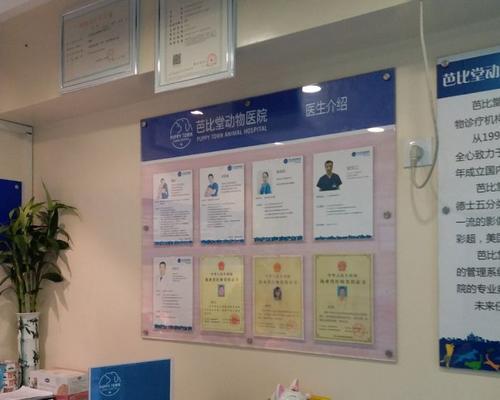 探索宠物医院管理模式的优化途径（以宠物医院为例，解析其管理模式及相关问题）