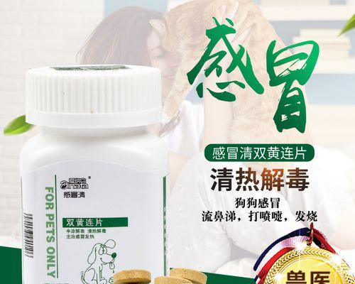 急救！狗狗肚子肿了怎么办？（药物治疗是最好的选择？）